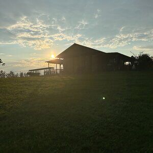 Meet your Posher, Chloe